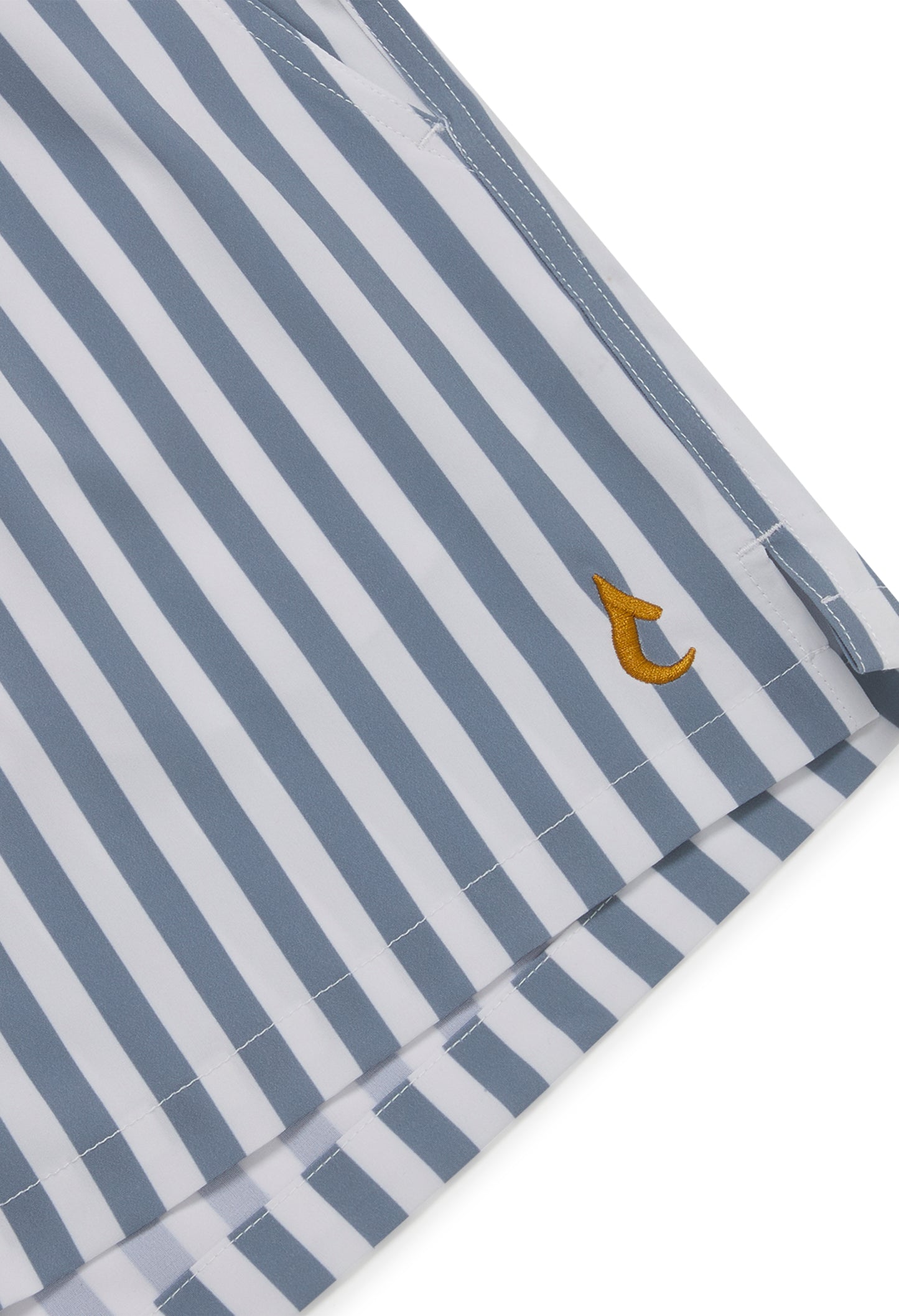VOYAGE PINSTRIPE SWIM SHORTS