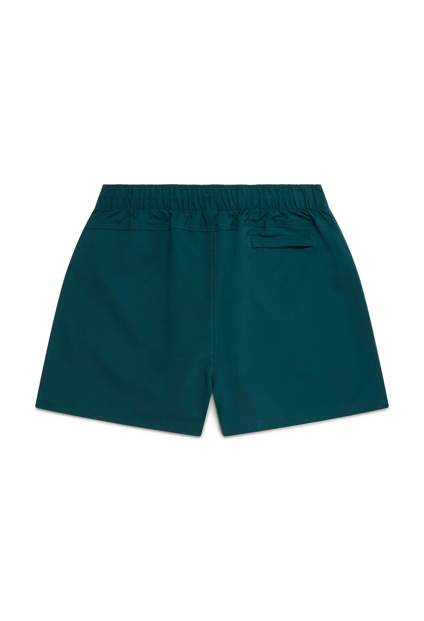 CLASSIC HUE SWIM SHORTSN THRST